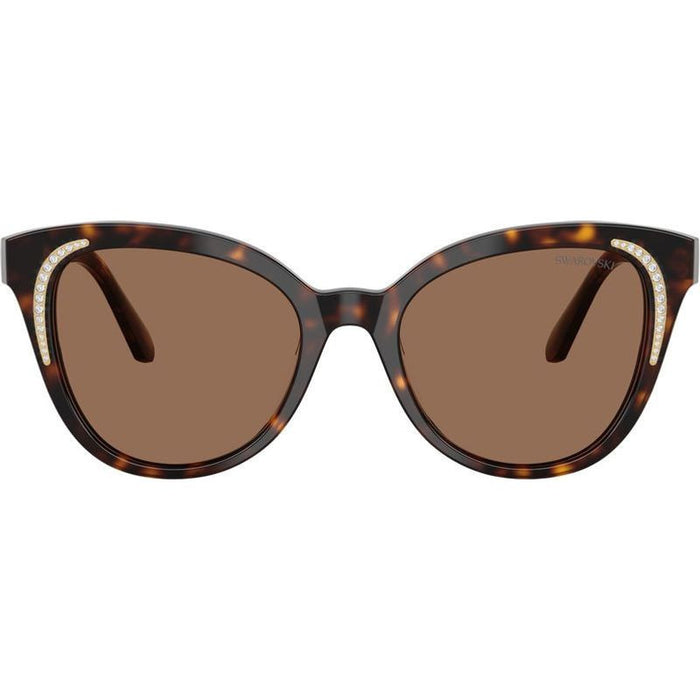 SK6031, Dark Havana/Dark Brown Lenses