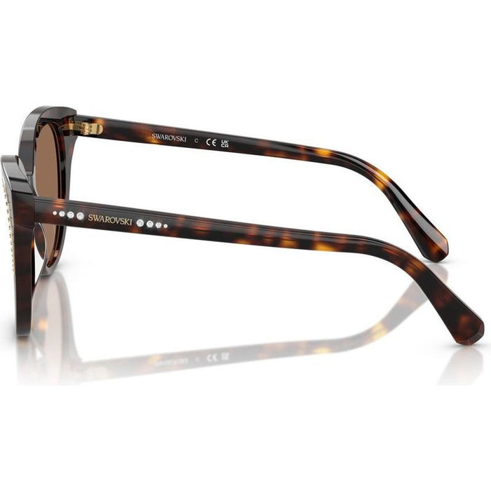 SK6031, Dark Havana/Dark Brown Lenses