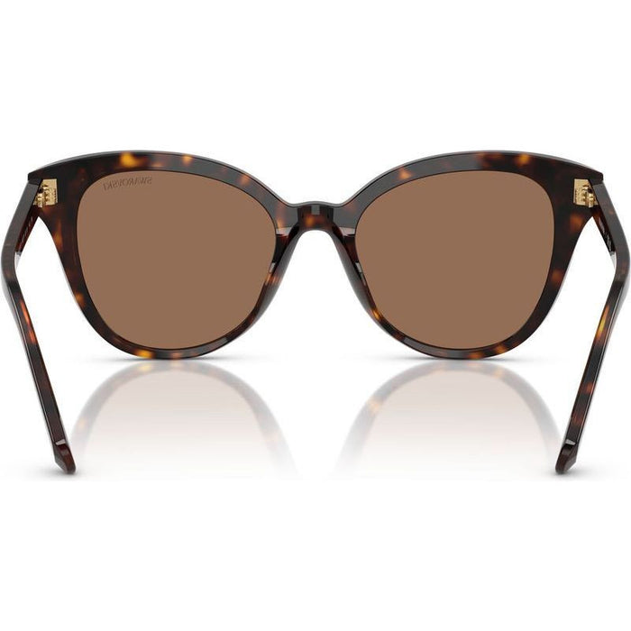 SK6031, Dark Havana/Dark Brown Lenses