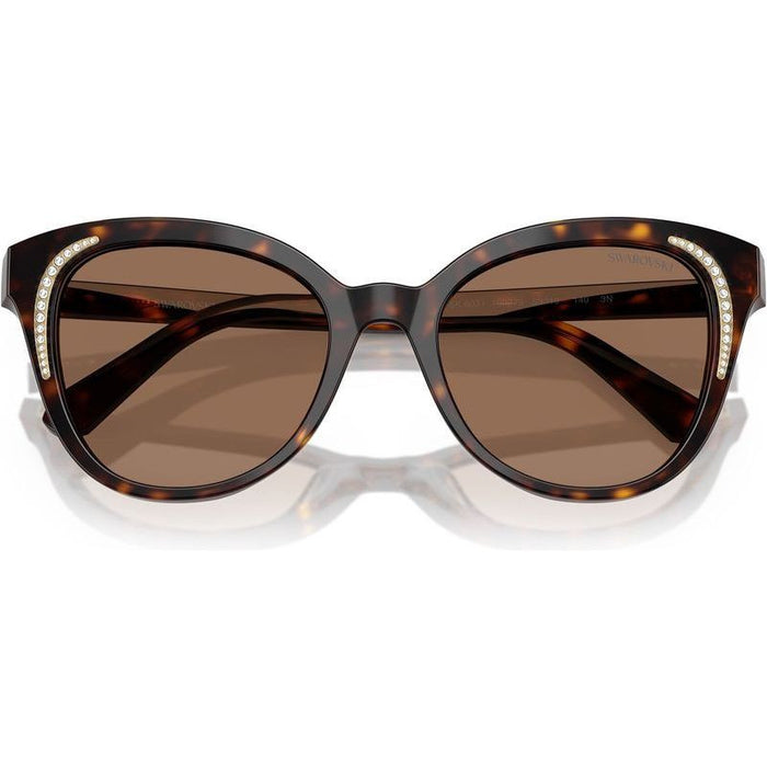 SK6031, Dark Havana/Dark Brown Lenses