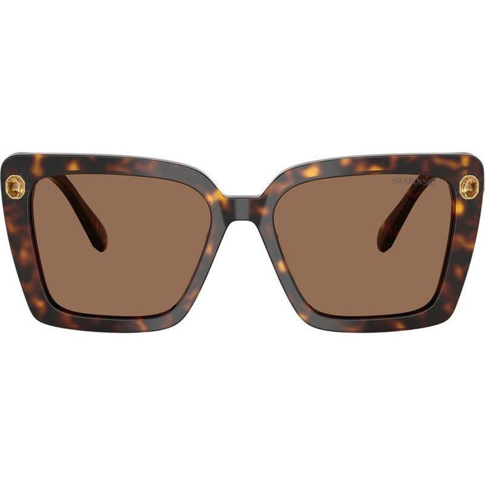 SK6032, Havana/Dark Brown Lenses