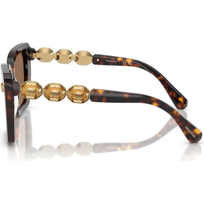 SK6032, Havana/Dark Brown Lenses