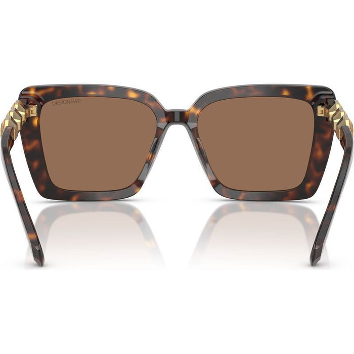 SK6032, Havana/Dark Brown Lenses