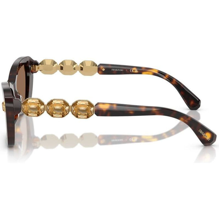 SK6033, Havana/Dark Brown Lenses