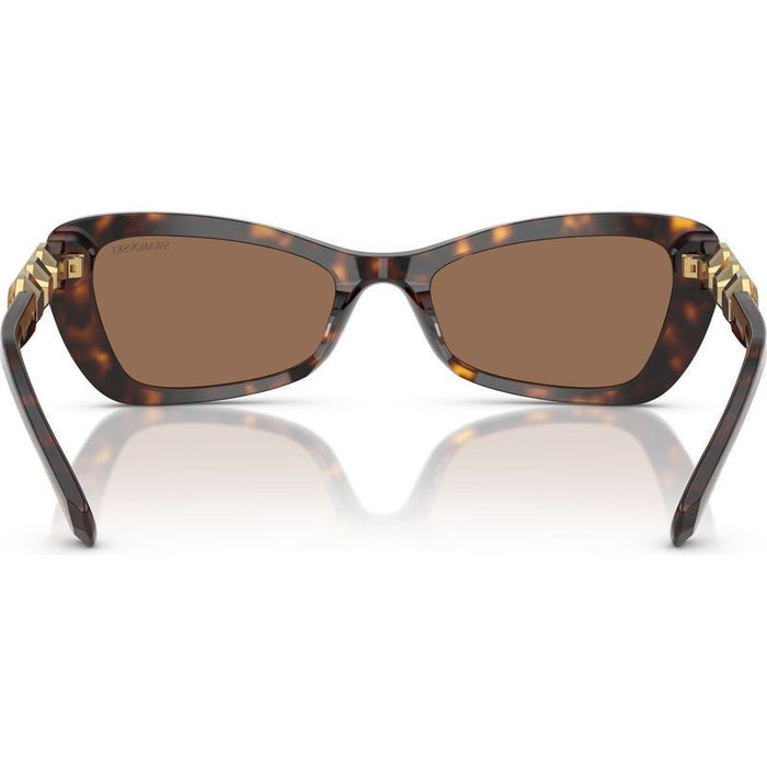SK6033, Havana/Dark Brown Lenses