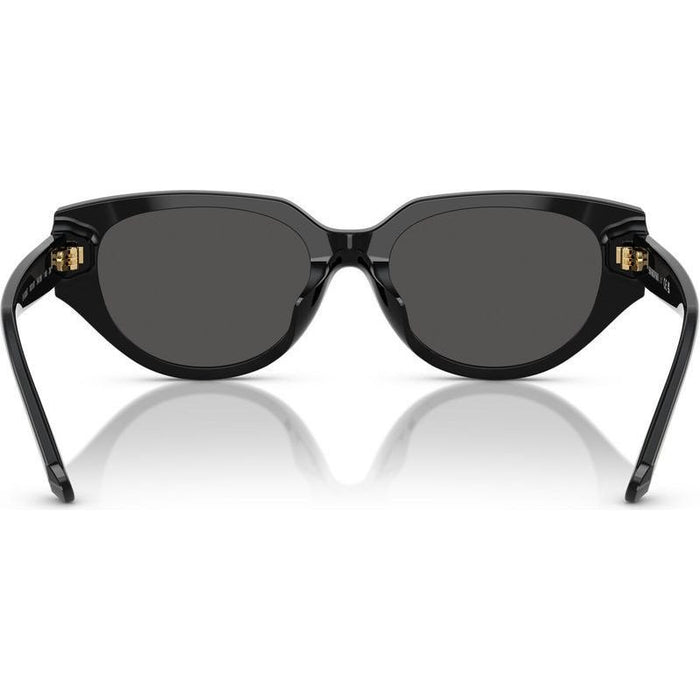 SK6035D, Black/Dark Grey Lenses