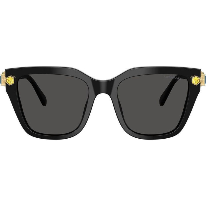 SK6041, Black/Dark Grey Lenses