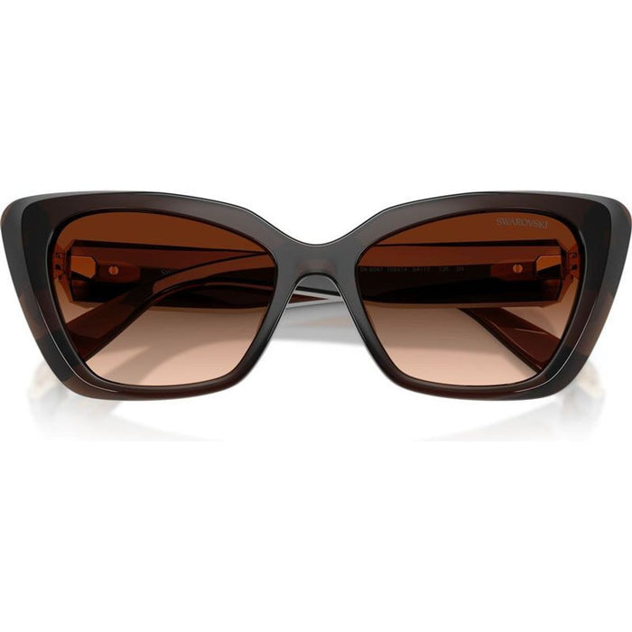 SK6047, Transparent Brown/Brown Gradient Lenses