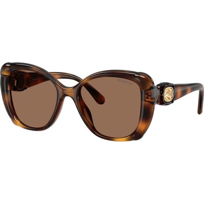 SK6051U, Havana/Dark Brown Lenses