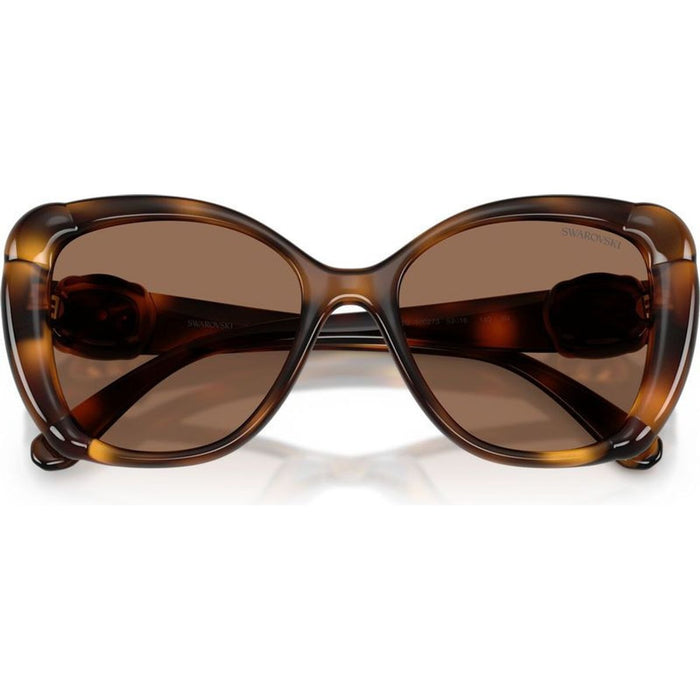 SK6051U, Havana/Dark Brown Lenses