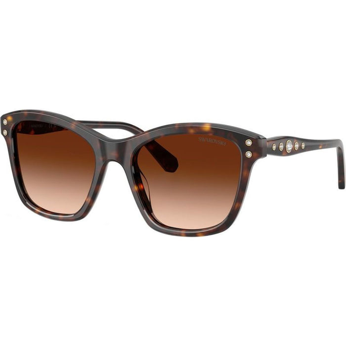SK6063, Havana/Brown Gradient Lenses
