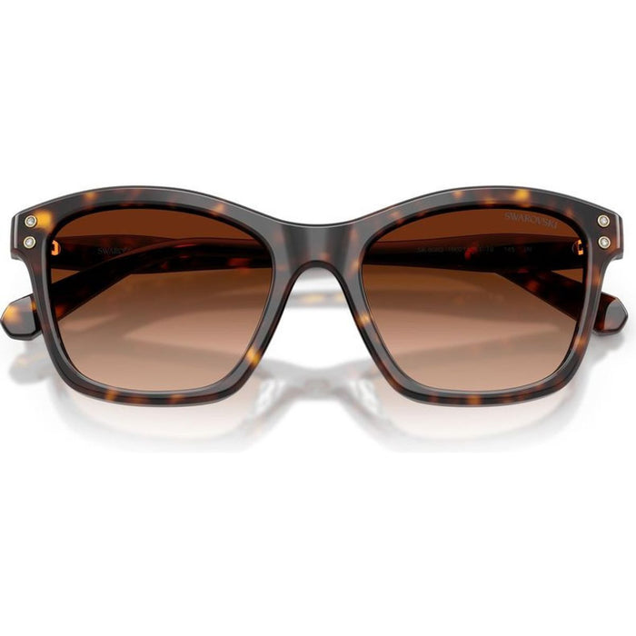 SK6063, Havana/Brown Gradient Lenses
