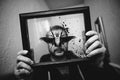 A person holds a glass frame showcasing Specimen I, a detailed insect illustration by Shaun Roberts (with Robert Bowen, San Francisco, CA). Its wings spread with ink splatters on an artistically blurred background emphasizes its delicate beauty.