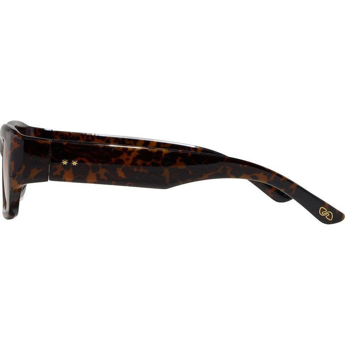 Spence, Havana/Amber Gradient Lenses