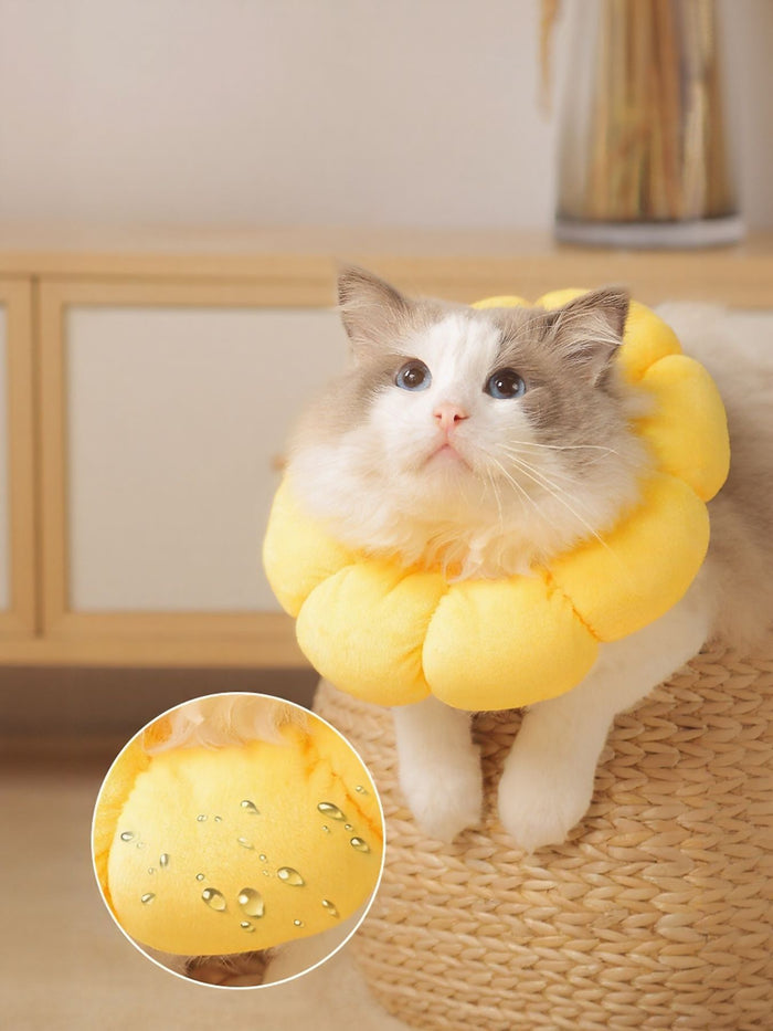 Sunflower Protective Pet Collar - FloofChonk