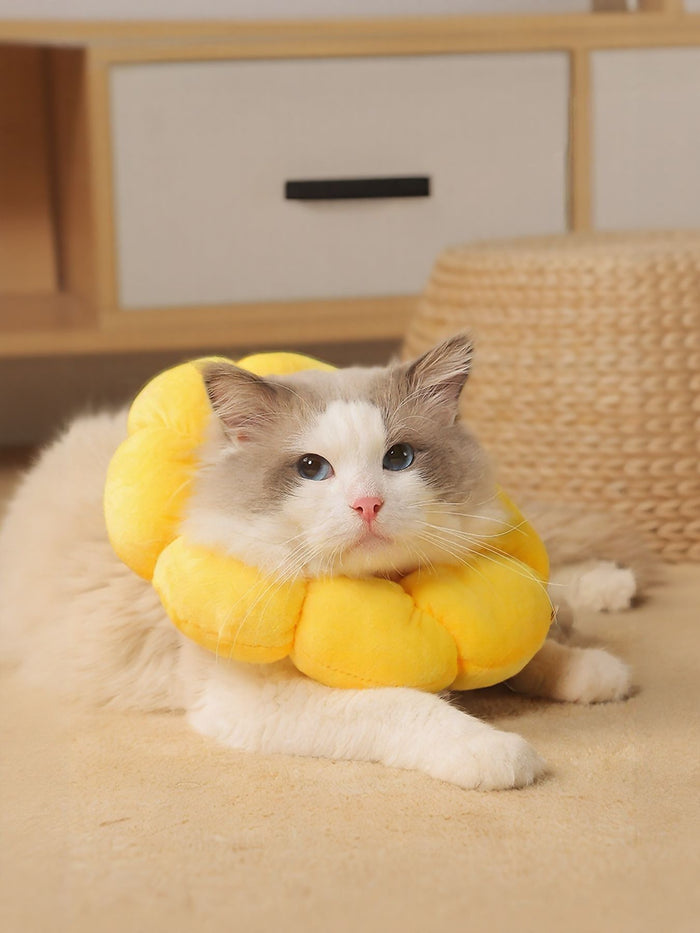 Sunflower Protective Pet Collar - FloofChonk
