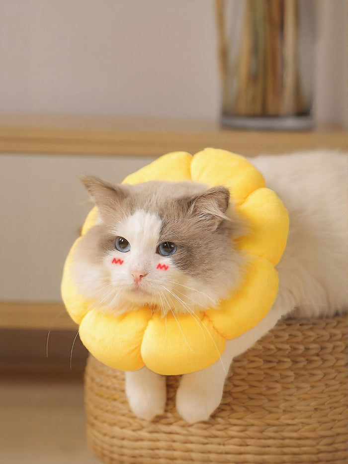 Sunflower Protective Pet Collar - FloofChonk