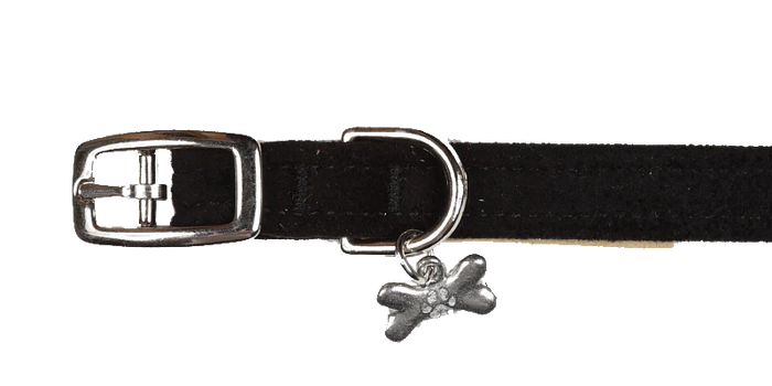 Susan Lanci Designs Plain Collar