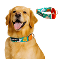 Teal Animal Print Martingale Collar (1.5 inch width)