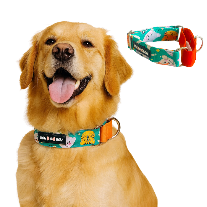 Teal Animal Print Martingale Collar (1.5 inch width)