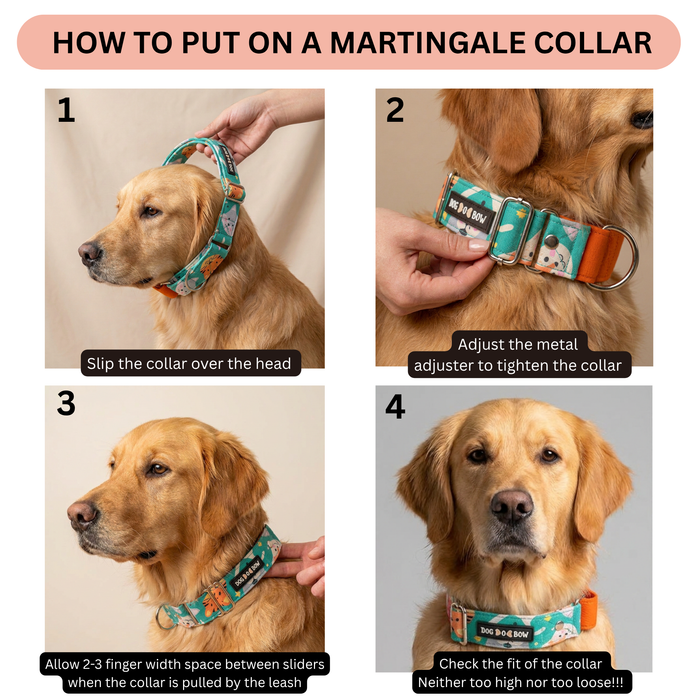 Teal Animal Print Martingale Collar (1.5 inch width)