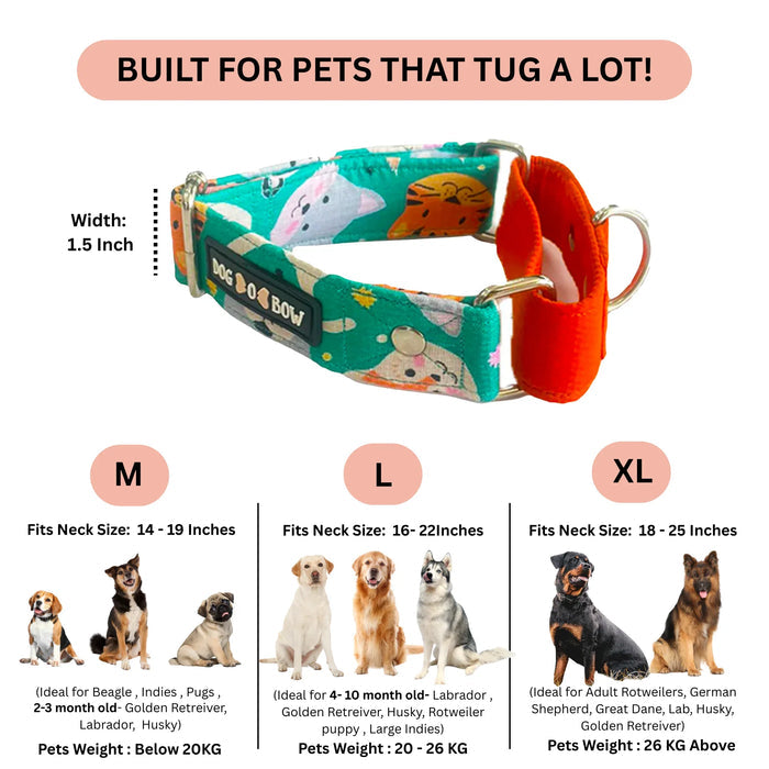 Teal Animal Print Martingale Collar (1.5 inch width)