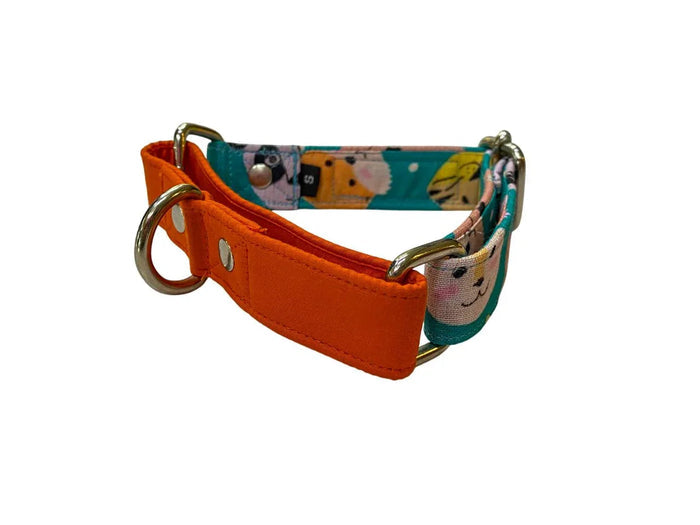 Teal Animal Print Martingale Collar SMALL (1 inch width)