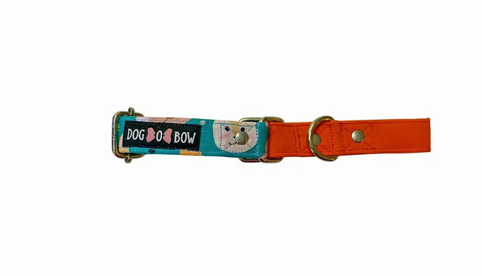 Teal Animal Print Martingale Collar SMALL (1 inch width)