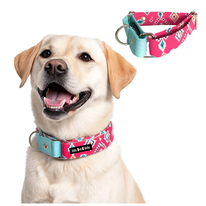 Teal-Pink Aztec Martingale Collar (1.5 inch width)