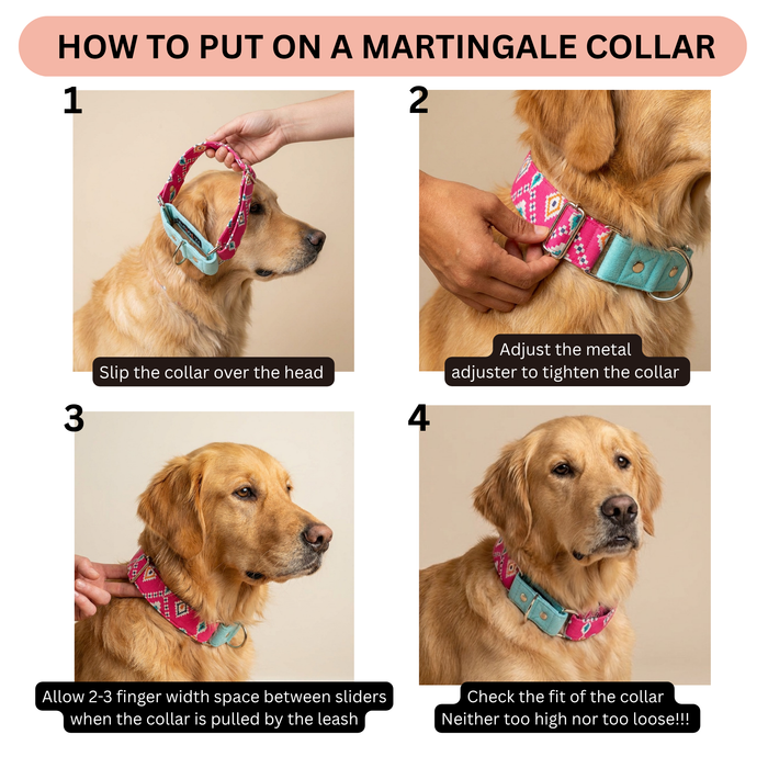 Teal-Pink Aztec Martingale Collar (1.5 inch width)