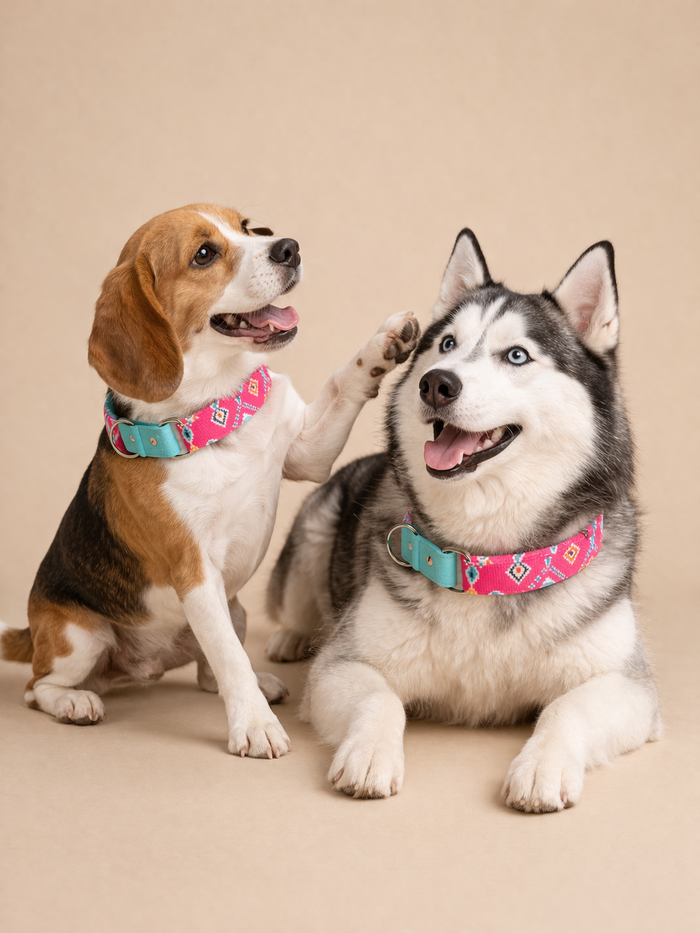Teal-Pink Aztec Martingale Collar (1.5 inch width)
