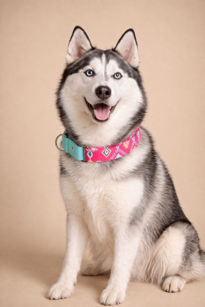 Teal-Pink Aztec Martingale Collar (1.5 inch width)