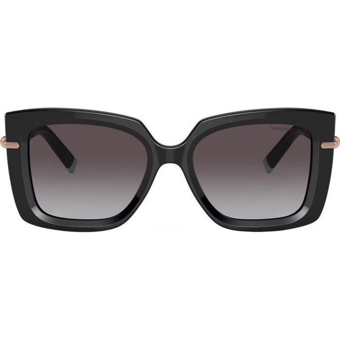 TF4199, Black/Grey Gradient Lenses