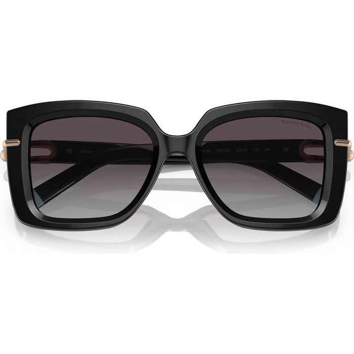 TF4199, Black/Grey Gradient Lenses