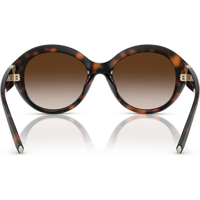 TF4227BU, Havana/Brown Gradient Lenses