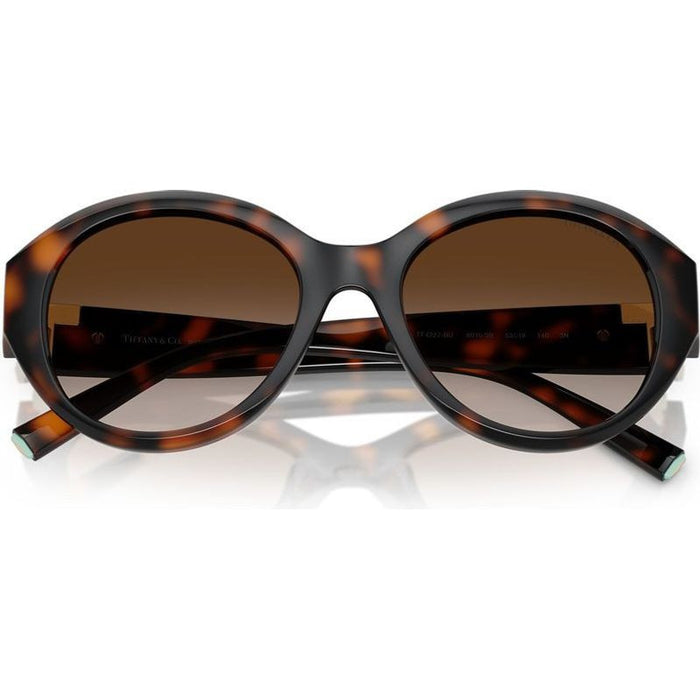 TF4227BU, Havana/Brown Gradient Lenses
