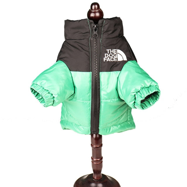 Green / XS