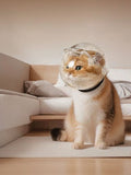 Transparent Anti - Bite Pet Spherical Head Cover - FloofChonk