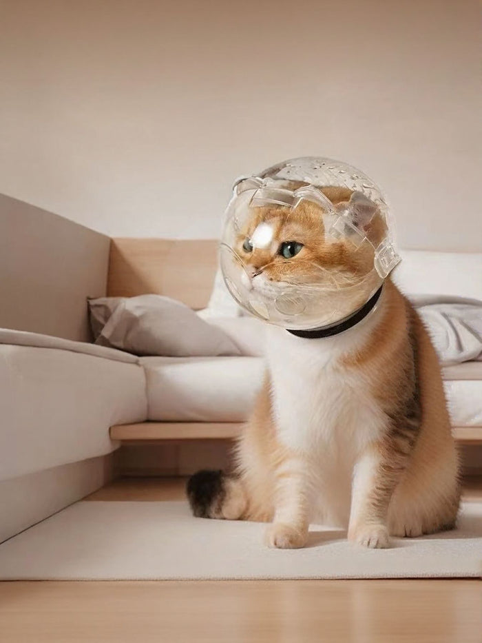 Transparent Anti - Bite Pet Spherical Head Cover - FloofChonk