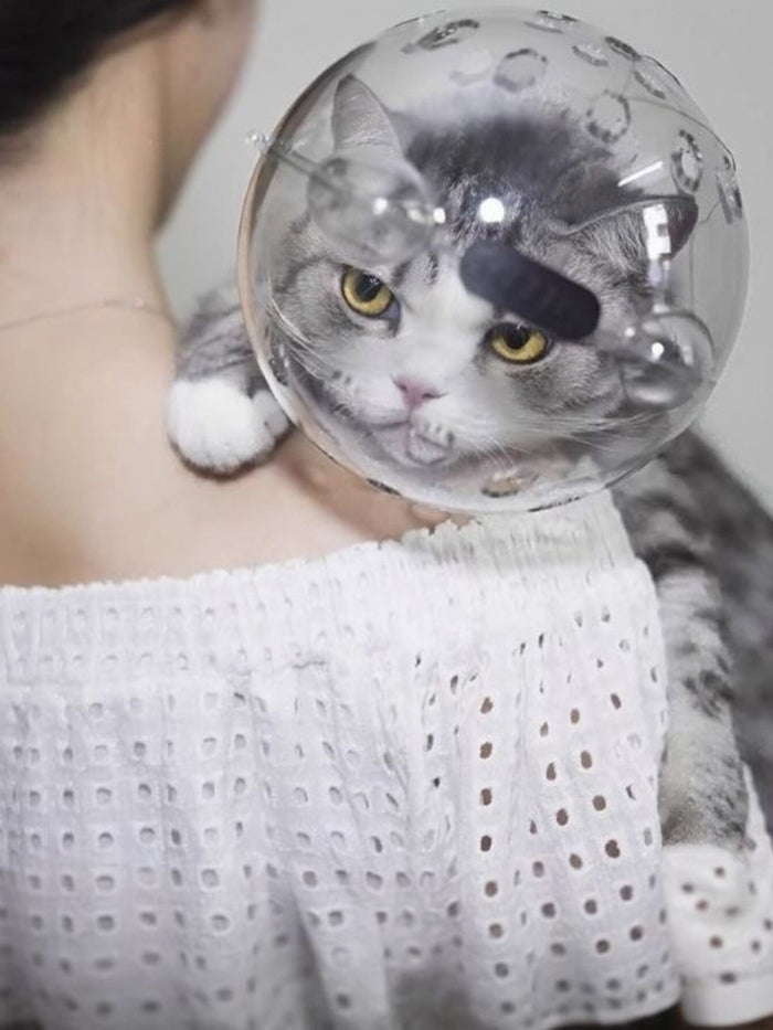 Transparent Anti - Bite Pet Spherical Head Cover - FloofChonk