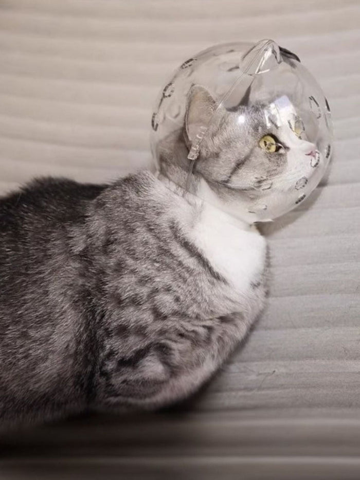 Transparent Anti - Bite Pet Spherical Head Cover - FloofChonk