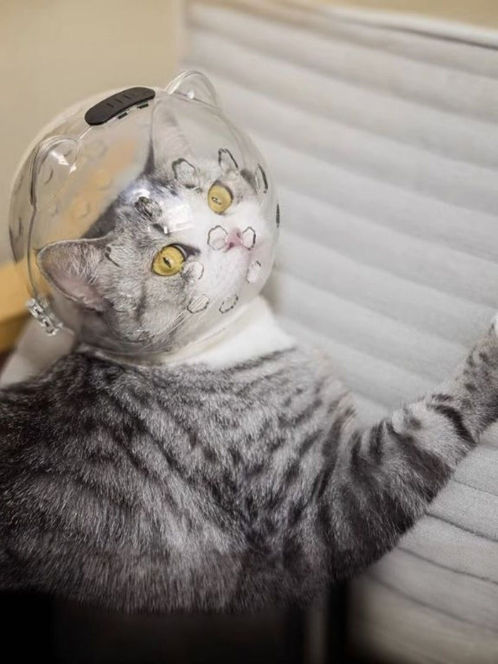 Transparent Anti - Bite Pet Spherical Head Cover - FloofChonk