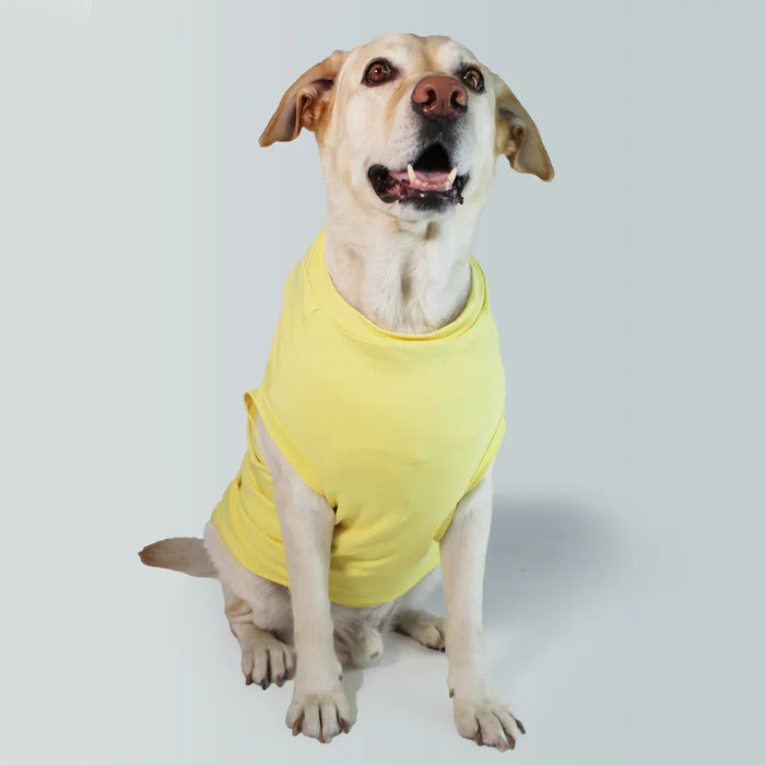 Treat Junkie T-shirt