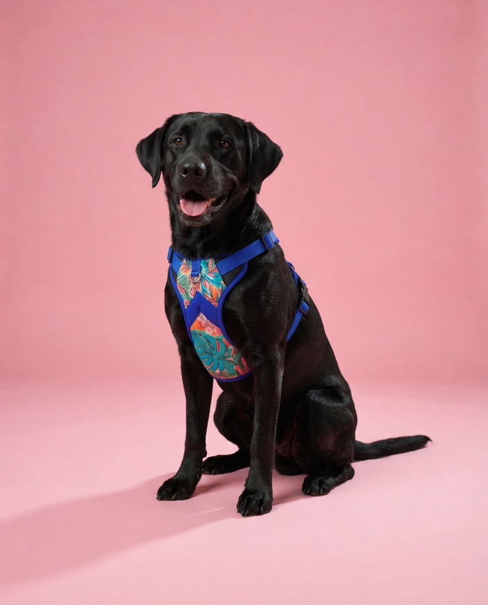 Tropicana  Double Padded Harness