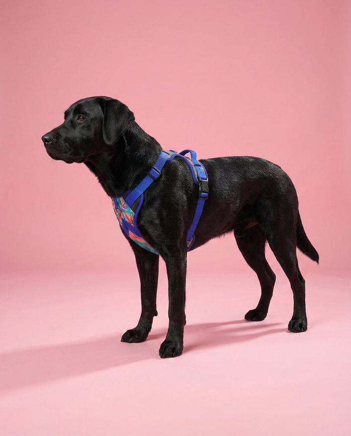 Tropicana  Double Padded Harness