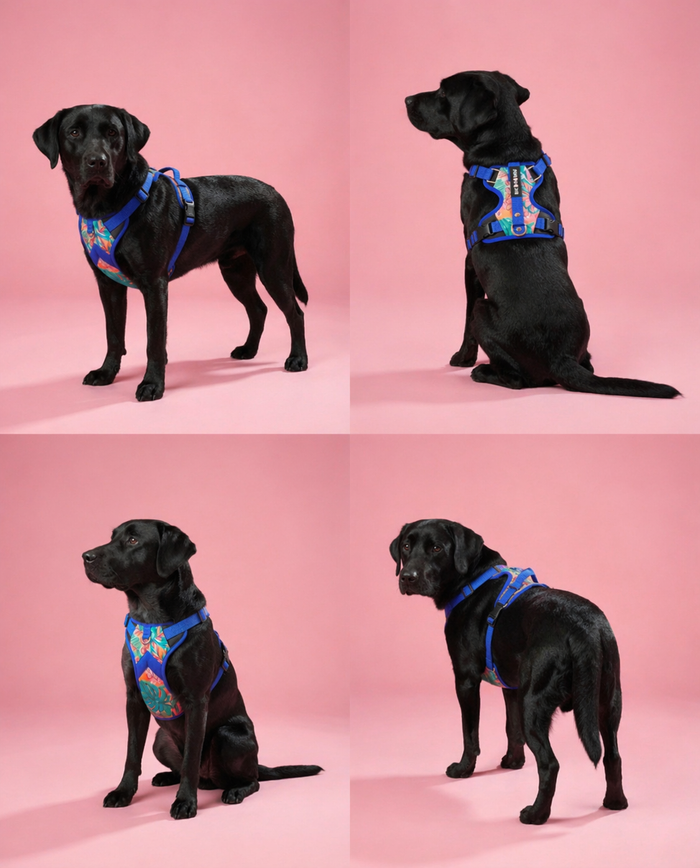 Tropicana  Double Padded Harness