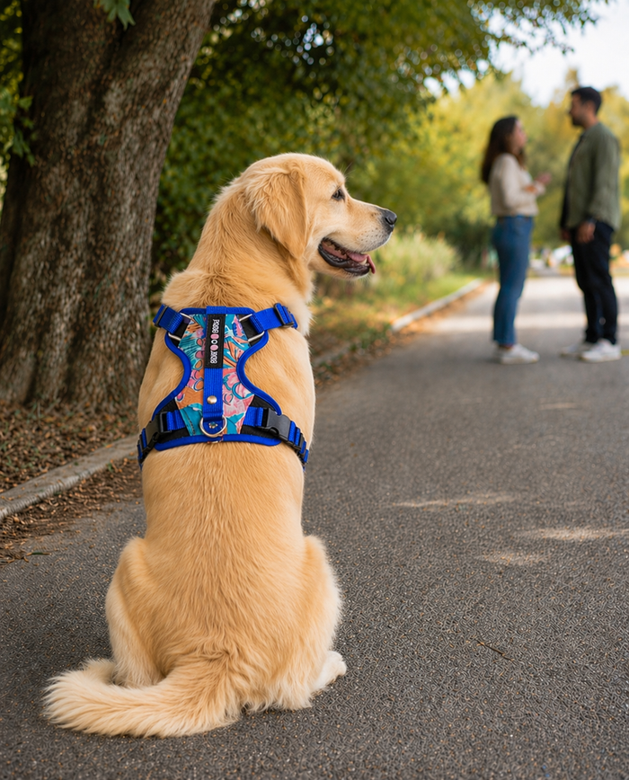 Tropicana  Double Padded Harness
