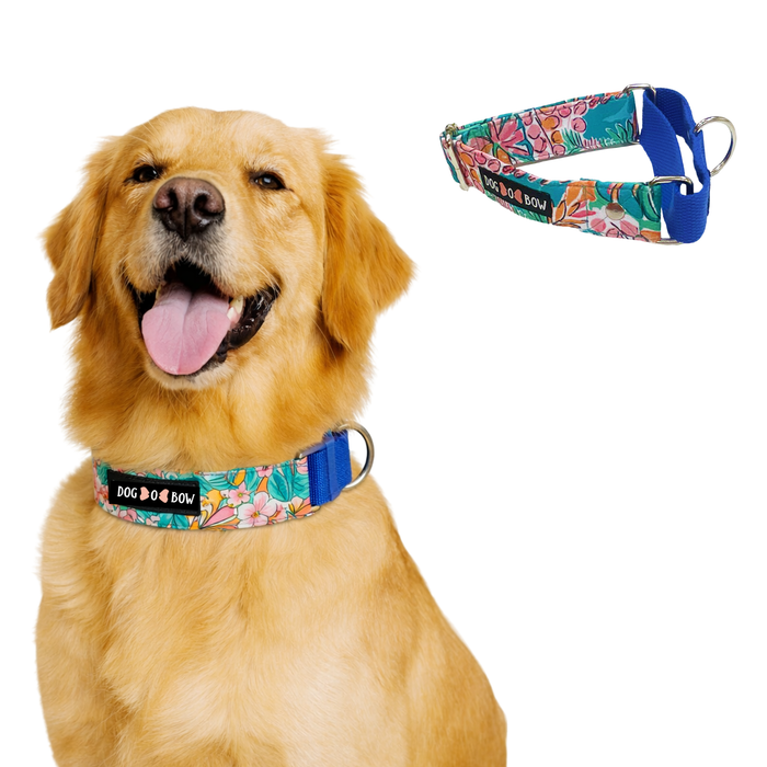 Tropicana Martingale Collar (1.5 inch width)