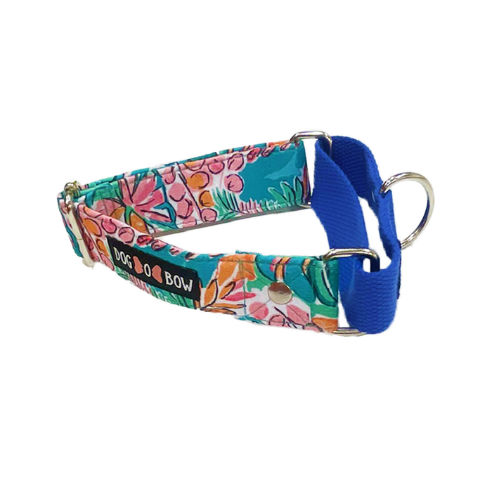 Tropicana Martingale Collar (1.5 inch width)
