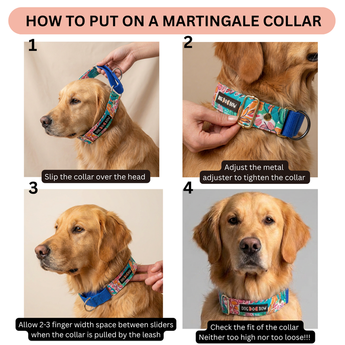 Tropicana Martingale Collar (1.5 inch width)